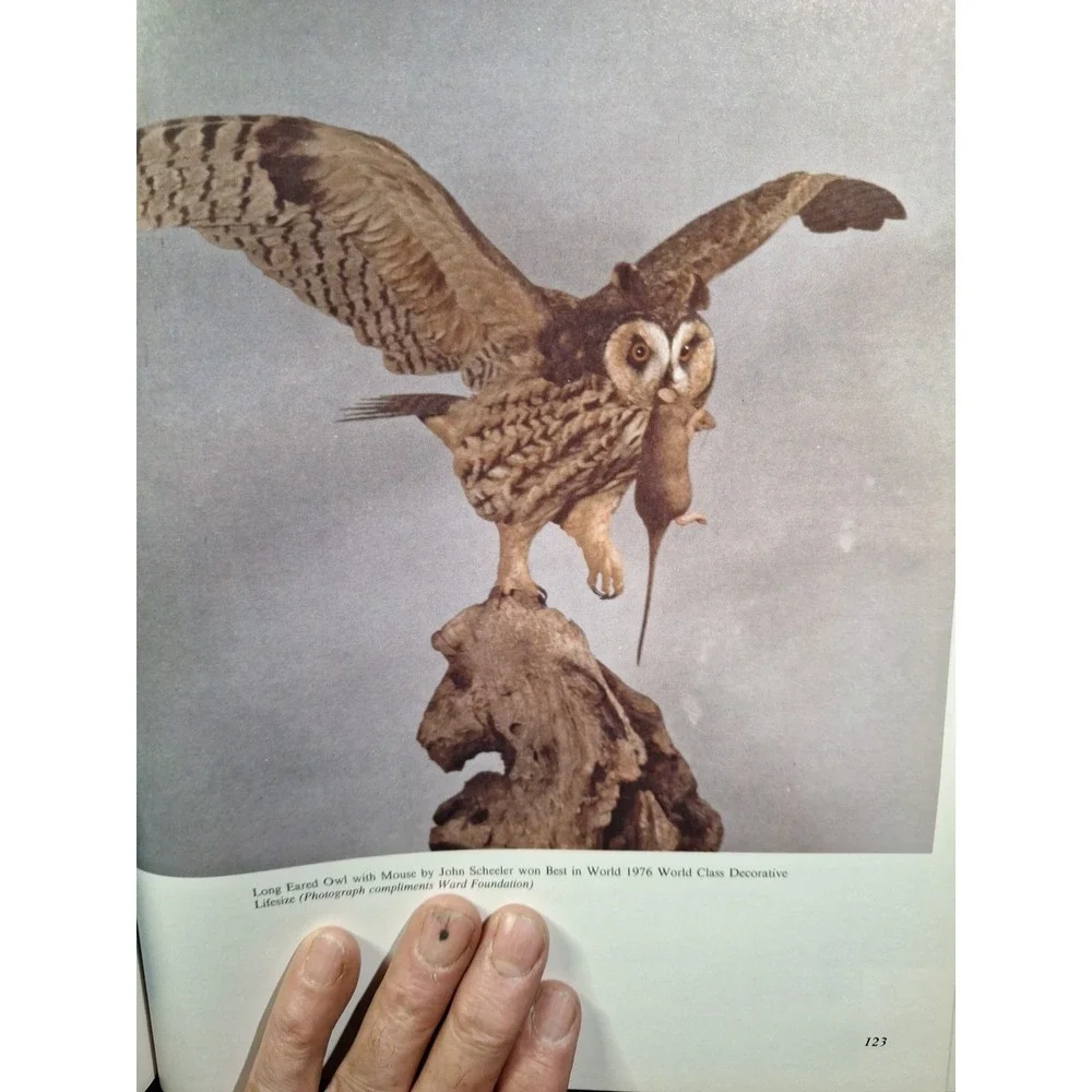 Championship Carving, Hardcover by Veasey, Tricia; Johnson, Tom, Like New‎
